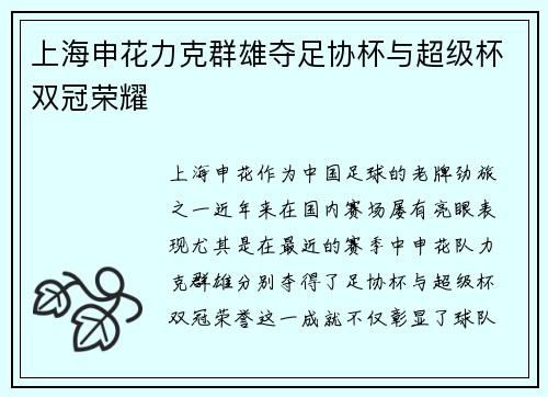 上海申花力克群雄夺足协杯与超级杯双冠荣耀